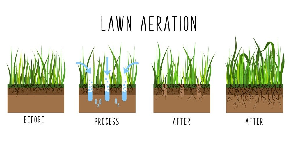 Aeration service